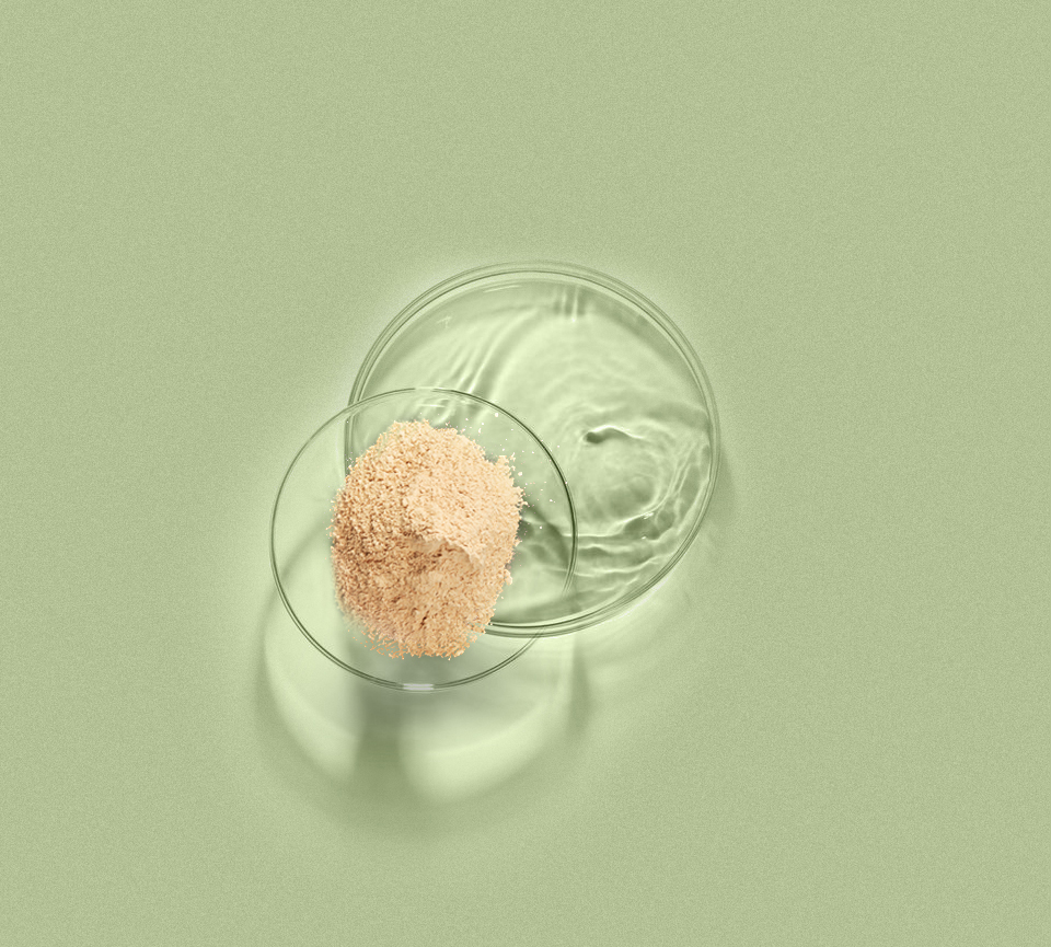 bevictorΰ - ΰbvٷվ